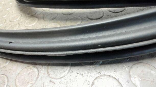 Foto: TÜRDICHTUNG VORNE LINKS eines Ford Focus Trendline