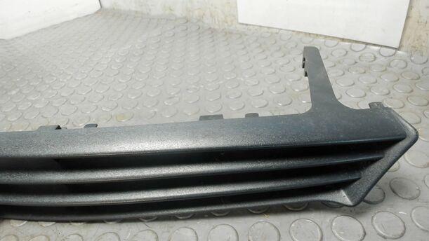 Foto: KÜHLERGRILL eines Ford Focus Trendline