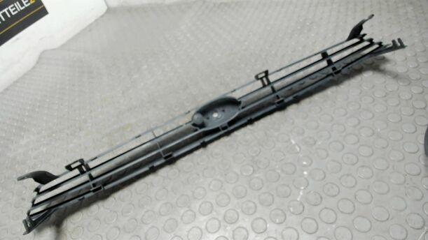 Foto: KÜHLERGRILL eines Ford Focus Trendline