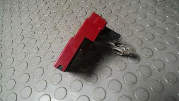 Foto: PLUSPOL BATTERIE eines Smart smart forfour GL
