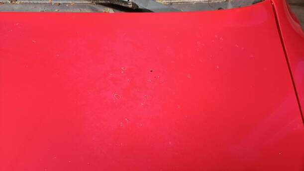 Foto: MOTORHAUBE(VOR FACELIFT) eines Nissan Micra 1.0 CL