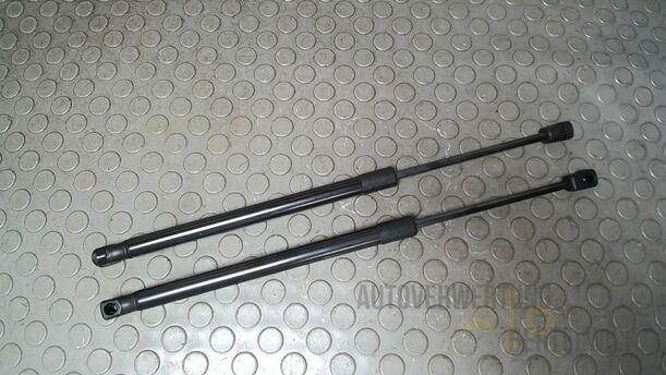 Foto: HECKKLAPPENDÄMPFERPAAR eines Suzuki SX4 1.6 VVT