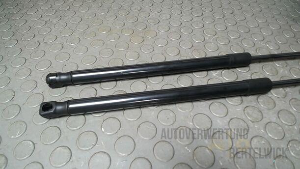 Foto: HECKKLAPPENDÄMPFERPAAR eines Suzuki SX4 1.6 VVT