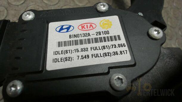 Foto: GASPEDAL eines Hyundai Santa Fe 2.2 CRDi 4WD
