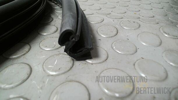 Foto: TÜRDICHTUNG INNEN HINTEN LINKS eines Suzuki SX4 1.6 VVT GL