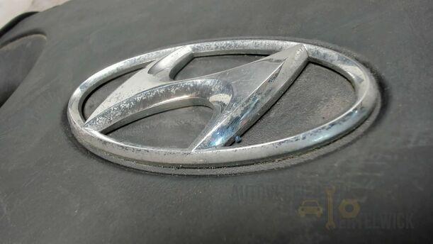 Foto: MOTORABDECKUNG / VERSCHALUNG eines Hyundai Santa Fe 2.2 CRDi 4WD