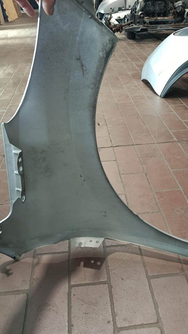 Foto: KOTFLÜGEL LINKS eines Peugeot 207 SW 110 HDi FAP (Blue Lion)