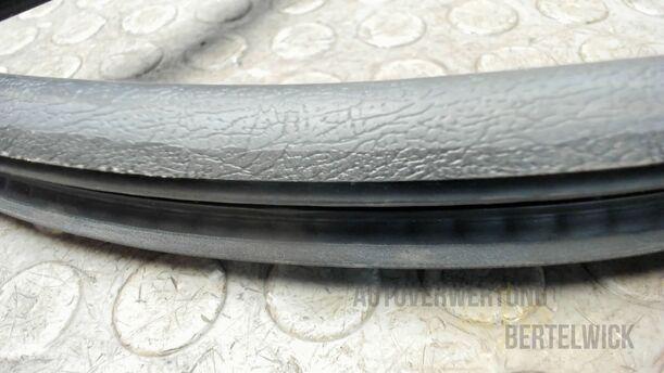Foto: TÜRDICHTUNG VORNE LINKS eines Peugeot 207 SW 110 HDi FAP (Blue Lion)