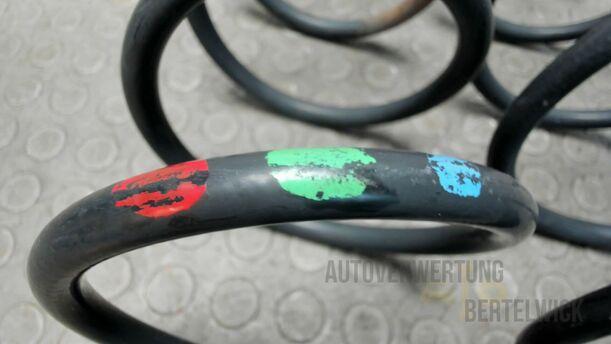 Foto: HINTEREFEDERN / FEDERNPAAR HINTEN eines Peugeot 207 SW 110 HDi FAP (Blue Lion) GL