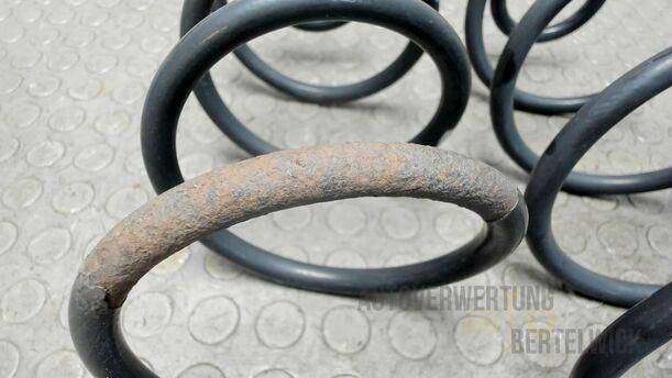 Foto: HINTEREFEDERN / FEDERNPAAR HINTEN eines Peugeot 207 SW 110 HDi FAP (Blue Lion) GL