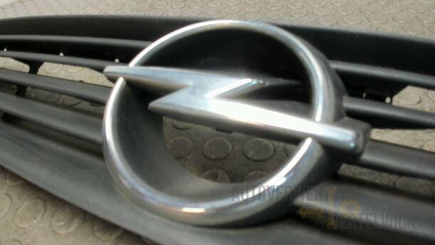 Foto: KÜHLERGRILL eines Opel Astra 1.8 Caravan