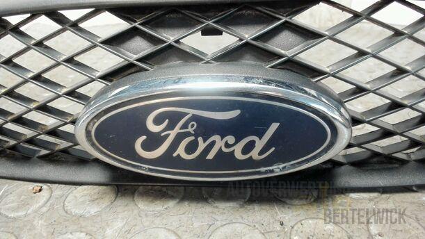 Foto: KÜHLERGRILL eines Ford Focus Fun