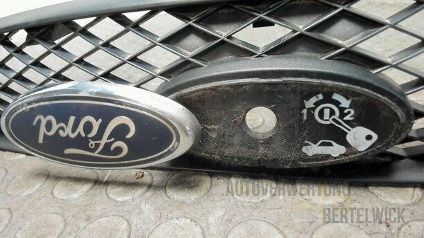 Foto: KÜHLERGRILL eines Ford Focus Fun