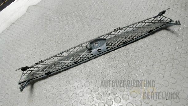 Foto: KÜHLERGRILL eines Ford Focus Fun