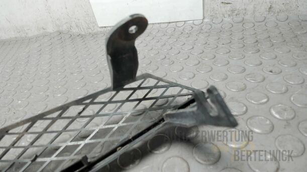 Foto: KÜHLERGRILL eines Ford Focus Fun
