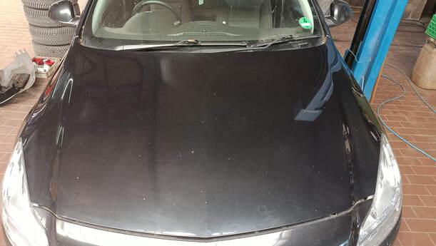Foto: MOTORHAUBE eines Opel Insignia 2.0 CDTI ecoFLEX Start/Stop Fun