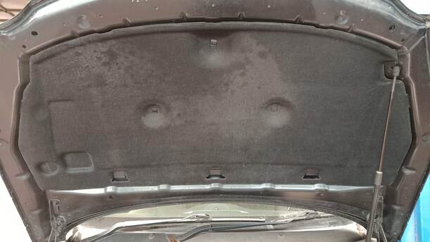 Foto: MOTORHAUBE eines Opel Insignia 2.0 CDTI ecoFLEX Start/Stop Fun