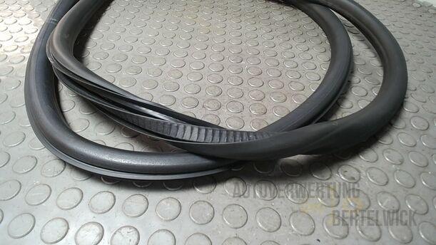 Foto: TÜRDICHTUNG VORN RECHTS eines Opel Insignia 2.0 CDTI ecoFLEX Start/Stop Attraction