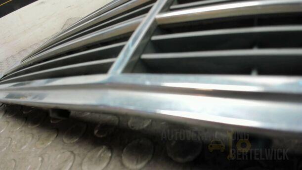 Foto: KÜHLERGRILL eines Mercedes-Benz E 270 T CDI Special