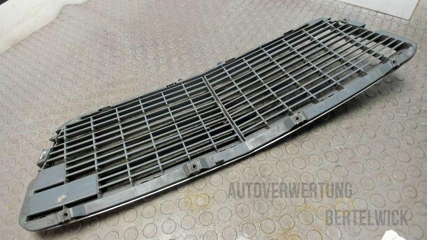 Foto: KÜHLERGRILL eines Mercedes-Benz E 270 T CDI Special
