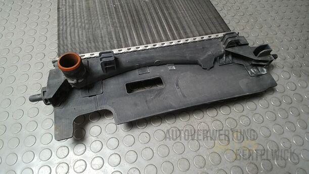 Foto: KÜHLER eines Fiat Grande Punto 1.2 8V Special