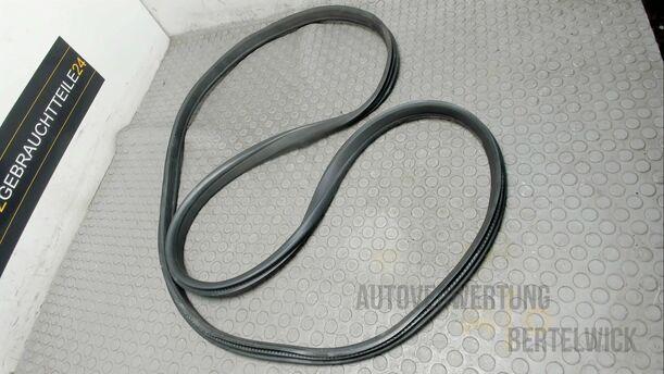 Foto: TÜRDICHTUNG VORNE LINKS eines Ford Mondeo Turnier 2.0 TDCi Aut.