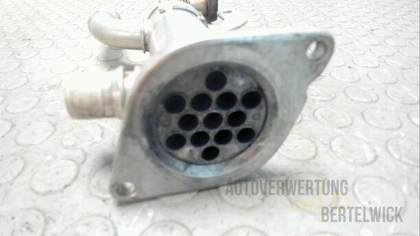 Foto: ABGASKÜGLER / AGR eines Ford Mondeo Turnier 2.0 TDCi Aut. GL