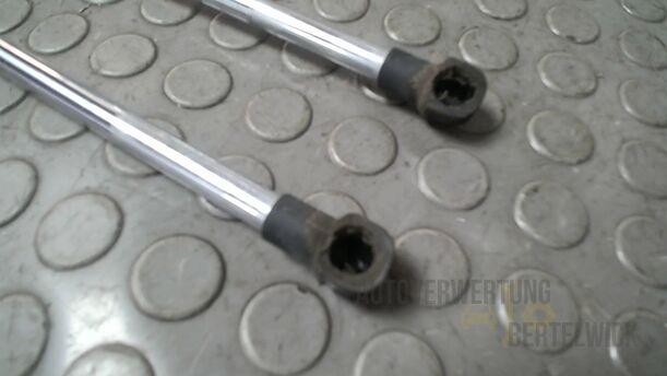 Foto: HECKKLAPPENDÄMPFERPAAR HINTEN ( KOMBI ) eines Mazda 6 Sport Kombi 2.2 CD DPF