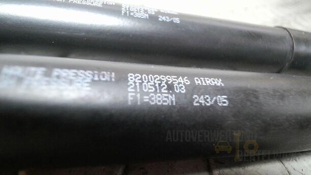 Foto: HECKKLAPPENDÄMPFERPAAR eines Renault Clio 1.6 16V Special