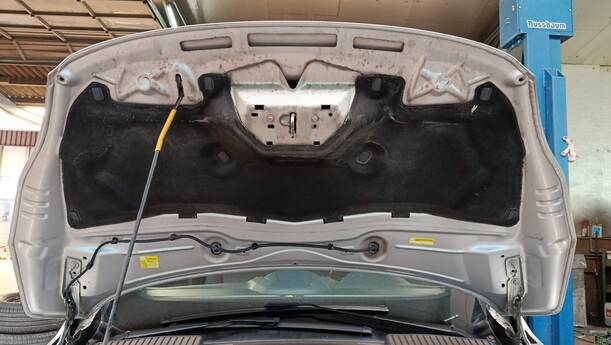 Foto: MOTORHAUBE ( BIS 2015 ) eines Ford C-MAX 1.6 EcoBoost Start-Stop-System Special