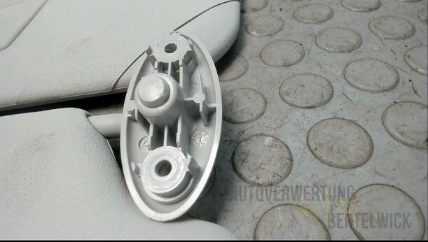 Foto: SONNENBLENDENPAAR eines Ford C-MAX 1.6 EcoBoost Start-Stop-System Special