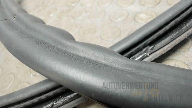 Foto: HECKKLAPPENDICHTUNG eines VW Golf Plus 1.2 TSI Special